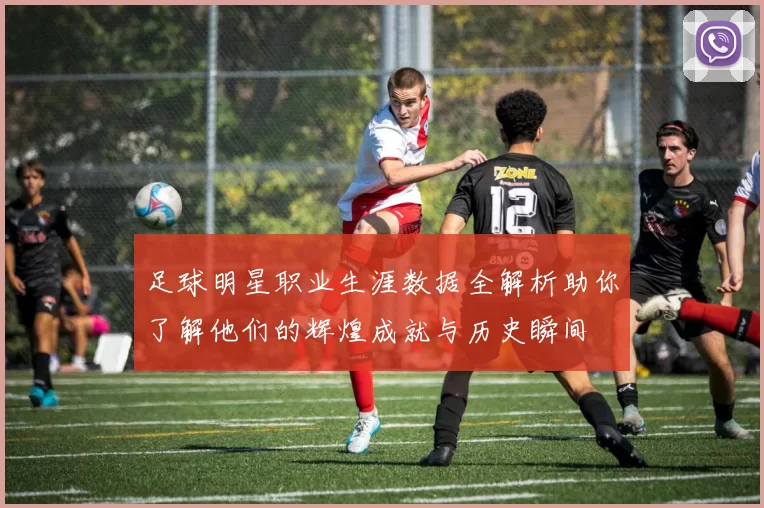 足球明星职业生涯数据全解析助你了解他们的辉煌成就与历史瞬间