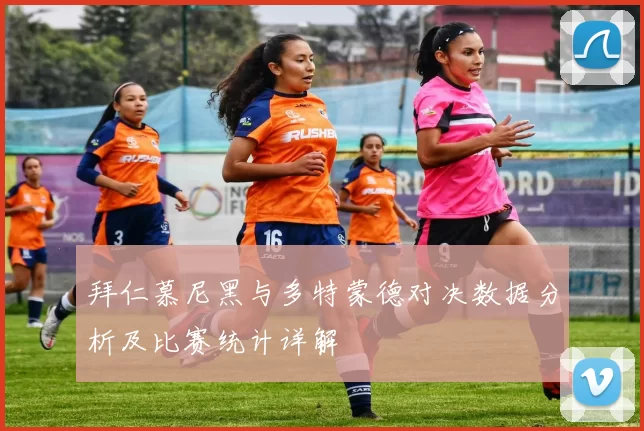 拜仁慕尼黑与多特蒙德对决数据分析及比赛统计详解