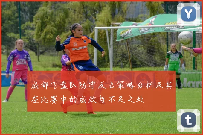 成都飞盘队防守反击策略分析及其在比赛中的成效与不足之处