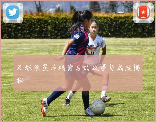 足球明星马戏背后的故事与成就揭秘
