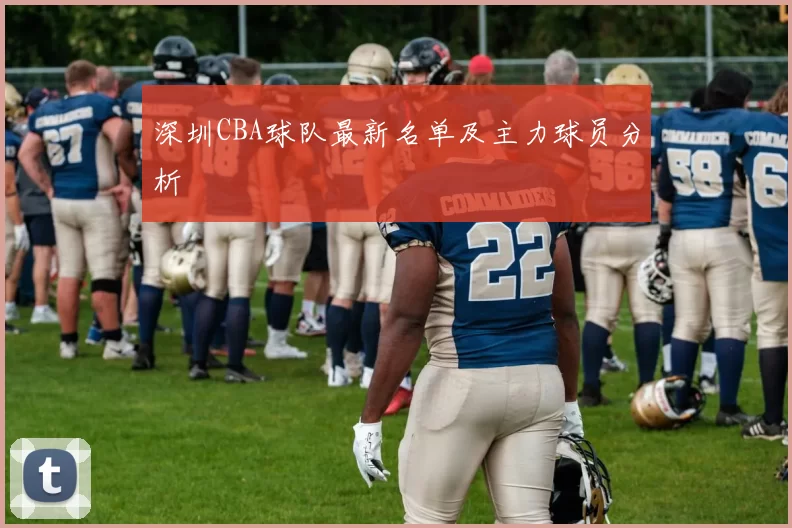 深圳CBA球队最新名单及主力球员分析