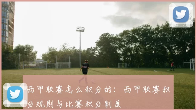 西甲联赛怎么积分的：西甲联赛积分规则与比赛积分制度