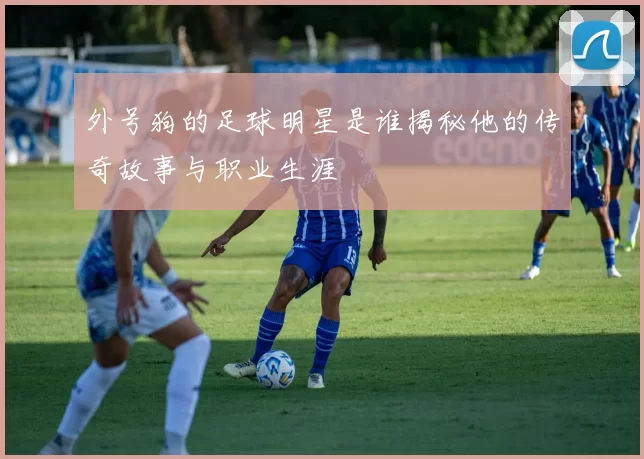 外号狗的足球明星是谁揭秘他的传奇故事与职业生涯