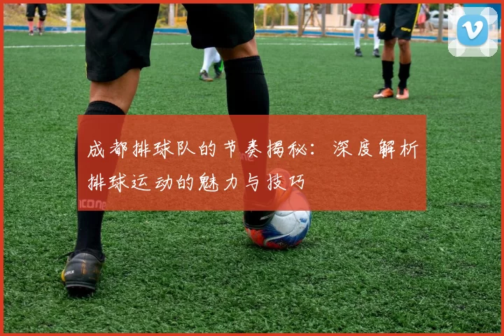 成都排球队的节奏揭秘：深度解析排球运动的魅力与技巧