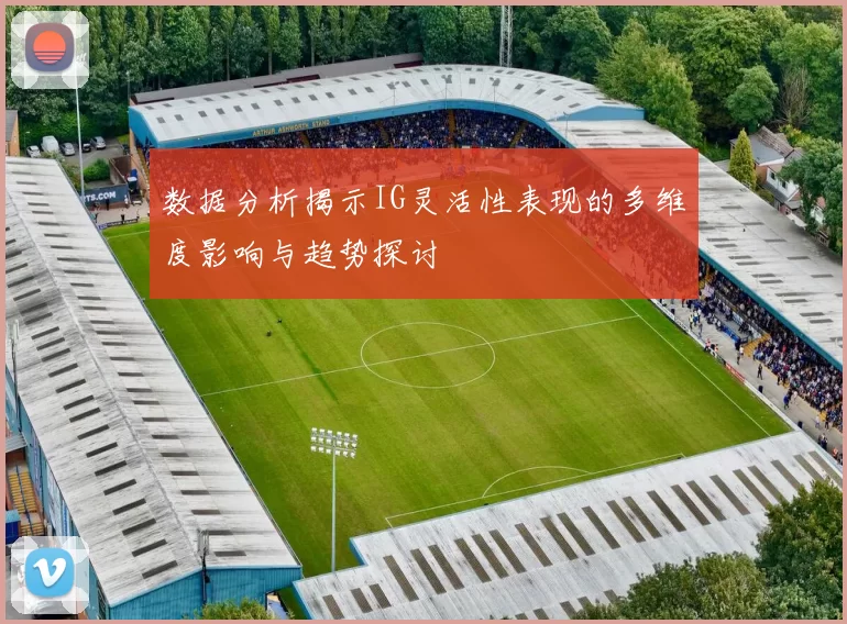 数据分析揭示IG灵活性表现的多维度影响与趋势探讨
