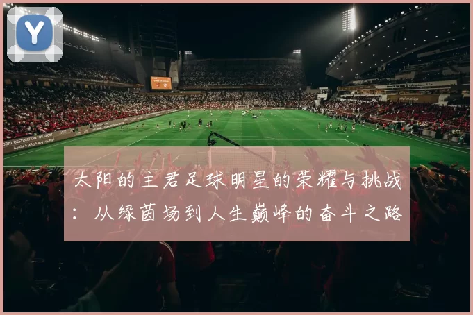 太阳的主君足球明星的荣耀与挑战：从绿茵场到人生巅峰的奋斗之路