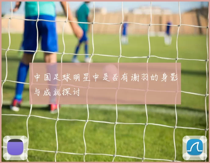 中国足球明星中是否有谢羽的身影与成就探讨