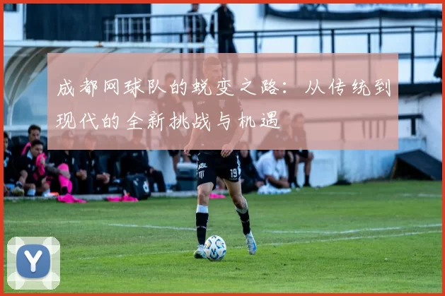 成都网球队的蜕变之路：从传统到现代的全新挑战与机遇
