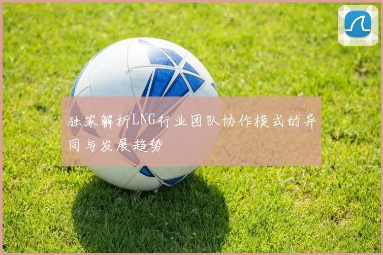 独家解析LNG行业团队协作模式的异同与发展趋势