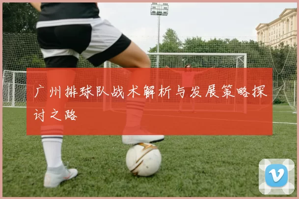 广州排球队战术解析与发展策略探讨之路
