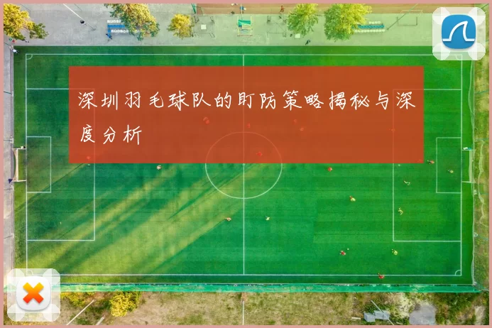 深圳羽毛球队的盯防策略揭秘与深度分析