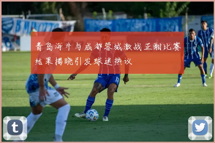 青岛海牛与成都蓉城激战正酣比赛结果揭晓引发球迷热议